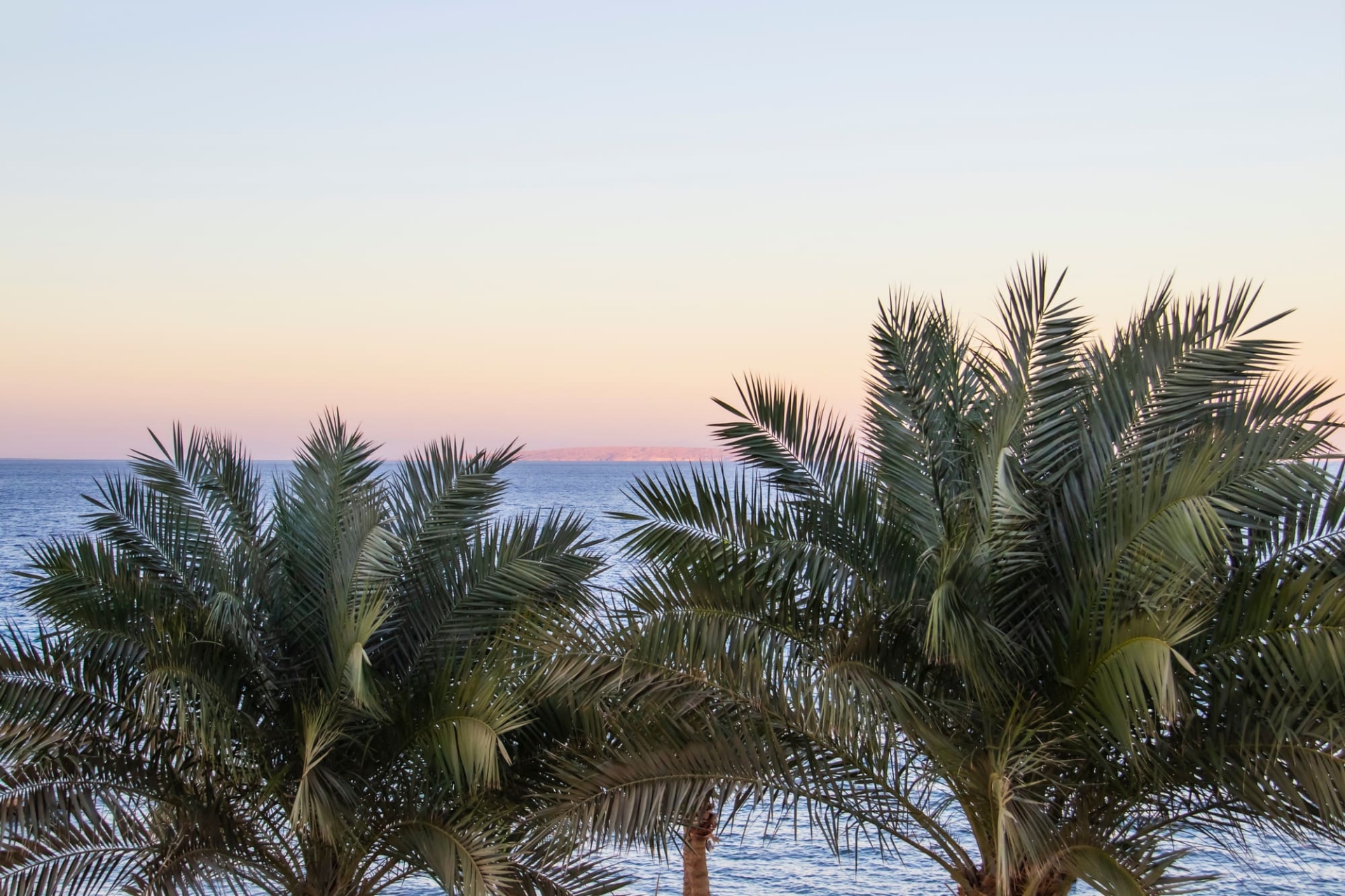 coucher-de-soleil-palmier-egypte